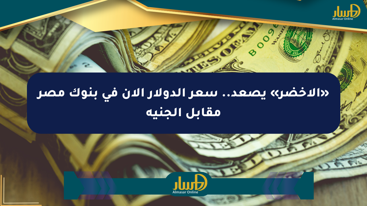 «الأخضر» يصعد.. سعر الدولار الآن في بنوك مصر مقابل الجنيه
